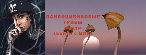 крисы Нягань