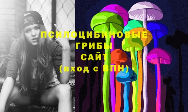 бутират Няндома